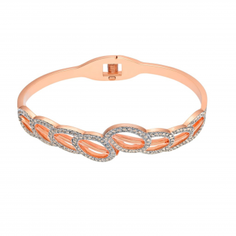 Bangles/Kada