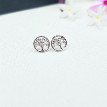 Silver Earrings