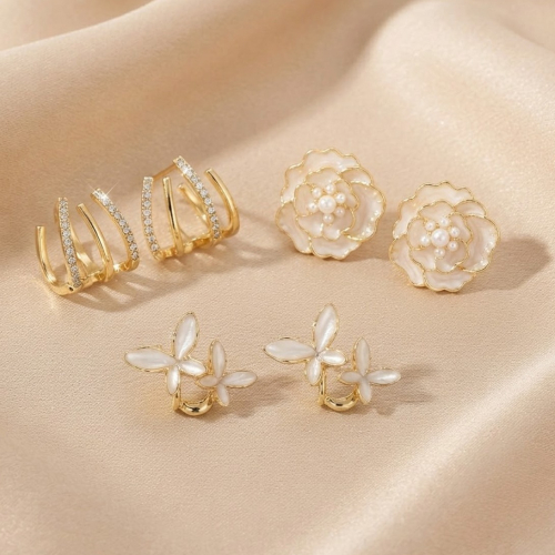 Earrings