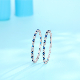 Bangles/Kada
