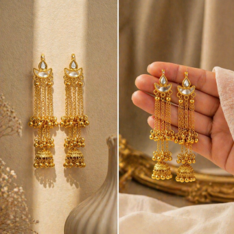 Earrings