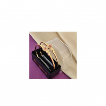 Bangles/Kada