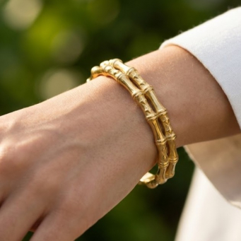 Bangles/Kada
